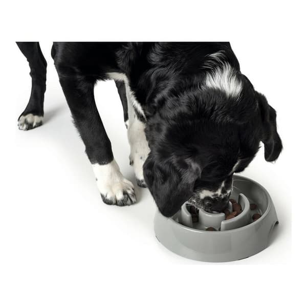 Hundemater Hunter Melamin 900 ml