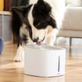 Miniatyrbilde 4 av 11: Drikkefontene for kjæledyr Drinkatt InnovaGoods