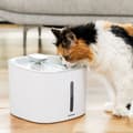 Miniatyrbilde 1 av 11: Drikkefontene for kjæledyr Drinkatt InnovaGoods