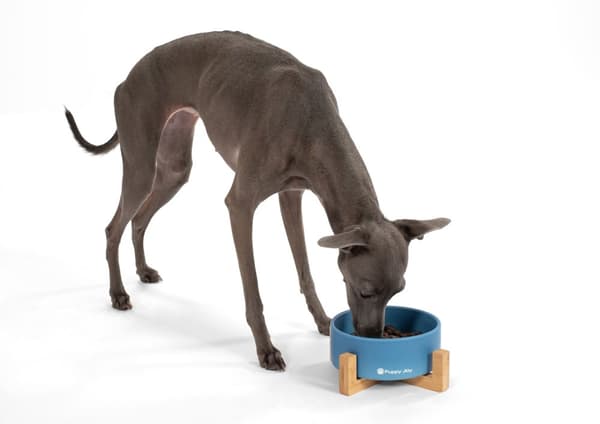 Keramikskål til hund eller kat Blå