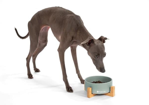 Keramikskål til hund eller kat Grå