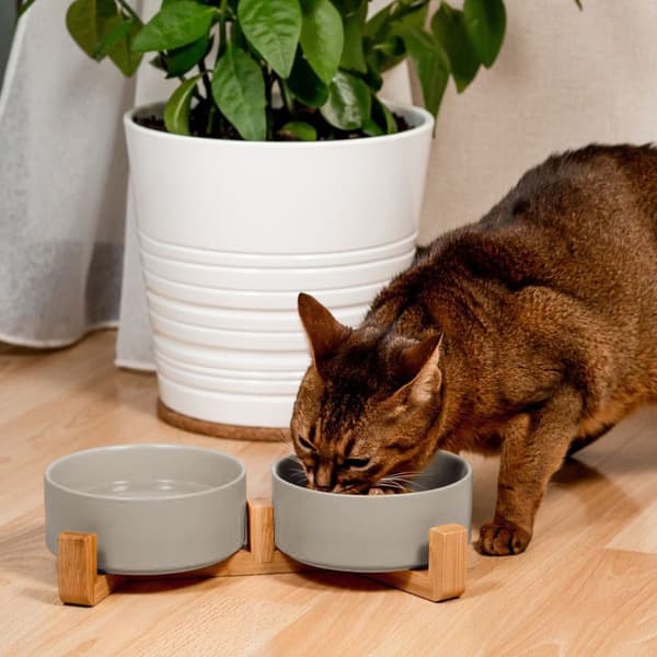 Keramikskålar för hund och katt Grå PJ-081