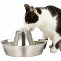 Pikkukuva 1 / 6: Koiran ruoka-annostelija PetSafe Hopeinen Ruostumaton teräs 1,8 L
