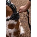 Pikkukuva 3 / 6: Hundsele - SYMBIOZ - S - Svart / Blå