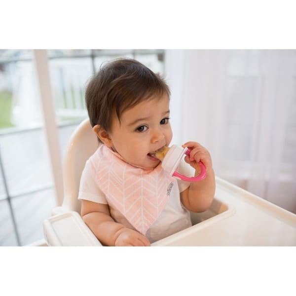 Dr Brown'S Pink Nibbler Lollipop