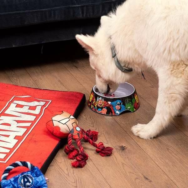 Koiran ruoka-annostelija Marvel Melamiini 760 ml