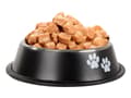 Miniatyrbilde 4 av 10: Halkfri Hundskål / Vattenskål / Anti-slip Matskål - Hund & Katt