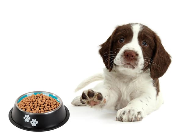 Halkfri Hundskål / Vattenskål / Anti-slip Matskål - Hund & Katt