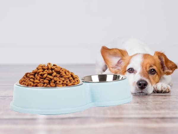 Dubbel Hundskål / Vattenskål - Hund & Katt