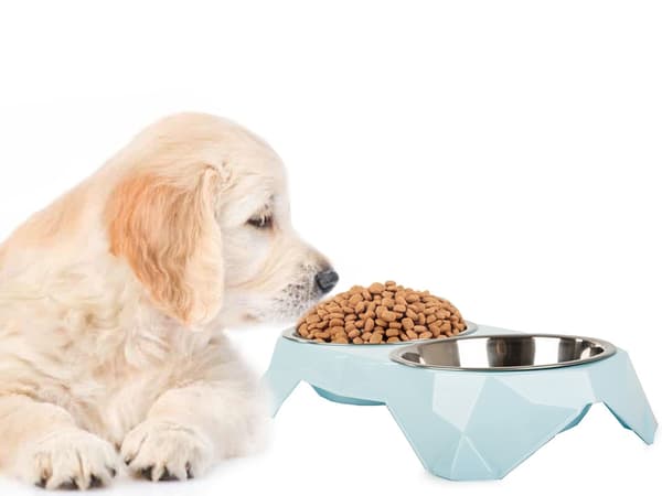 Dubbel Hundskål / Vattenskål - Hund & Katt - 2x350 ml
