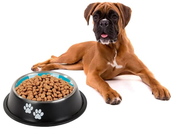 Hundmatskål / Vattenskål för Hund - 1L
