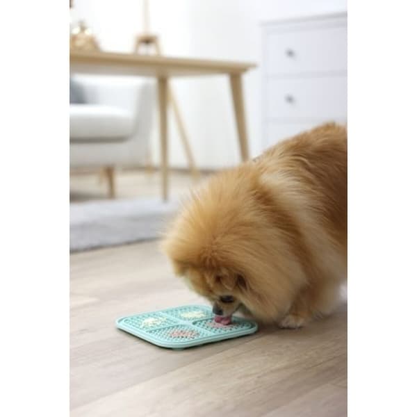 Cat Feeder Kerbl Turkos Plast 20 x 20 cm