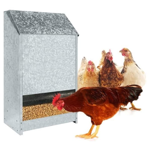 Automatisk foderautomat - YUENFONG - Feedomatic - Rostfritt stål - 50 kg - För fjäderfä