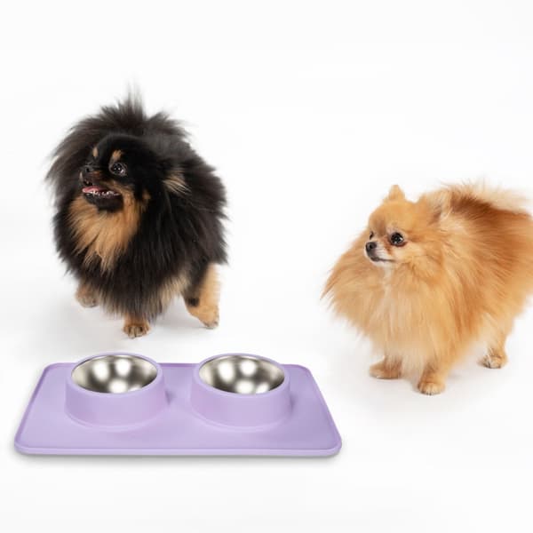 SKÅL FÖR HUND/KATT/HUSDJUR PJ-088 PURPLE