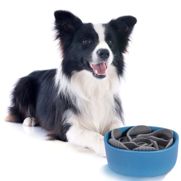 HUNDE-/KATTE-/KÆLEDYRSSKÅL PJ-031 BLUE