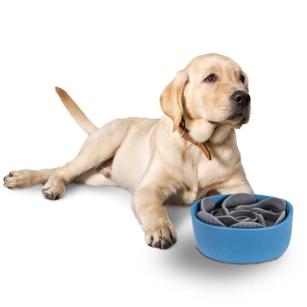HUNDE-/KATTE-/KÆLEDYRSSKÅL PJ-031 BLUE