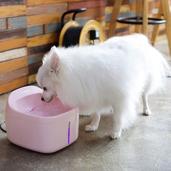 Dogness Water Fountain - D01PK - Automatisk elektrisk vattendispenser för katter och hundar 2 L, Rosa