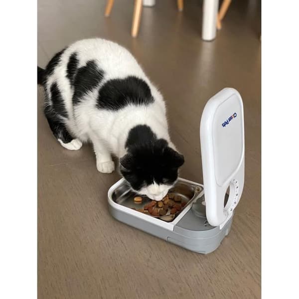 Closer Pets Single Meal Automatisk husdjursmatare med rostfria stålinsatser (C100)