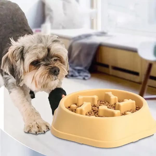 HUNDSKÅL SLOWING HUND ÄTA FÖR MAT STOR 600ml ANTI-SLIP