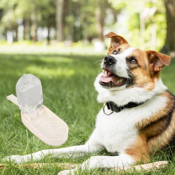 Turistflaske til hunde - gul