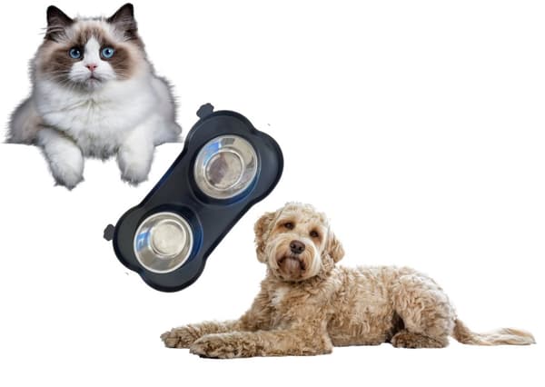 Dobbelt skål til hunde og katte