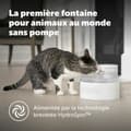 Miniatyrbillede 2 af 6: Drikkevandsfontæne til kæledyr PetSafe Hvid
