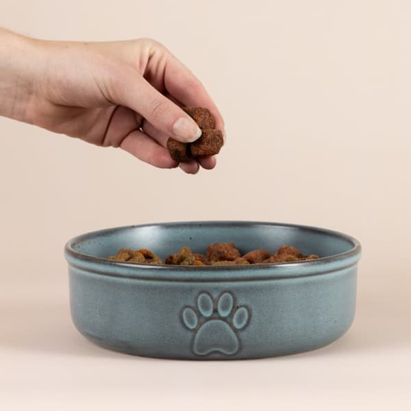 MC-Pet skål 18cm Reactive Paw