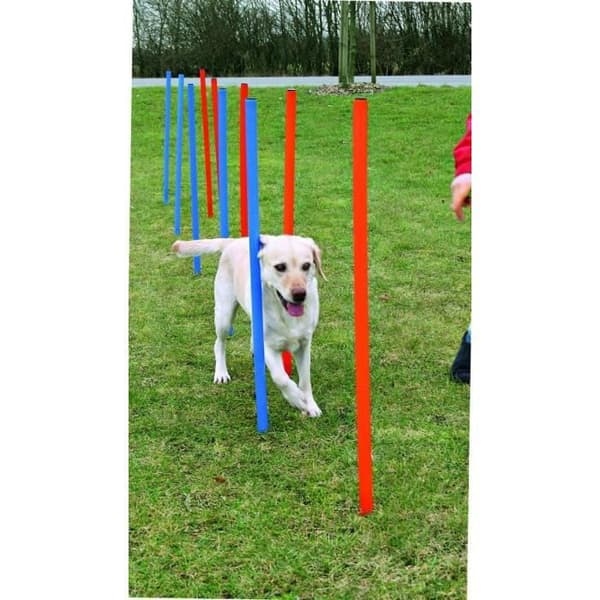 TRIXIE Slalom Stakes för Agilitybana 115 cm 12 st Plast