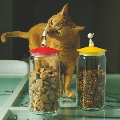 Kattmatsskål - ALESSI - Mio - 1,5 L - Lock i plast - Glas och plast