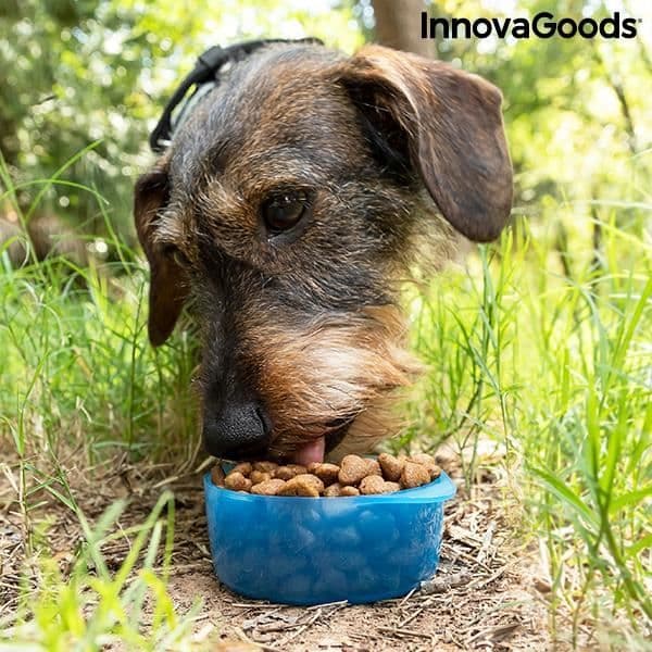 Vatten- och matdispenser - InnovaGoods - Pettap - 300 ml vatten - 200 ml mat - Portabel