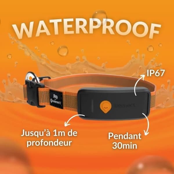 GPS hundhalsband - WEENECT Dog XT - XL antenn - Vattentät - Julius-K9 halsband - Fungerar med abonnemang - Orange