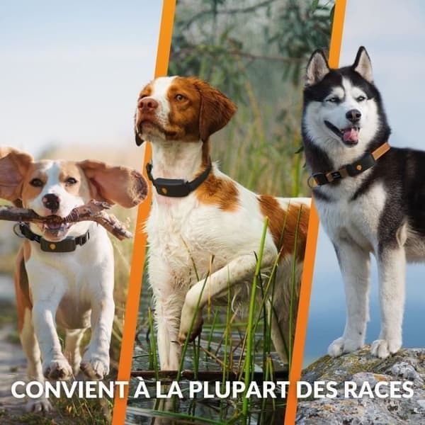 GPS hundhalsband - WEENECT Dog XT - XL antenn - Vattentät - Julius-K9 halsband - Fungerar med abonnemang - Orange