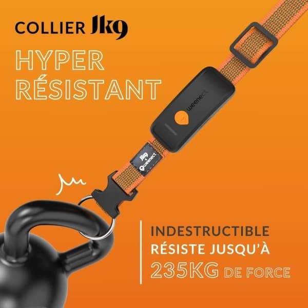 GPS hundhalsband - WEENECT Dog XT - XL antenn - Vattentät - Julius-K9 halsband - Fungerar med abonnemang - Orange