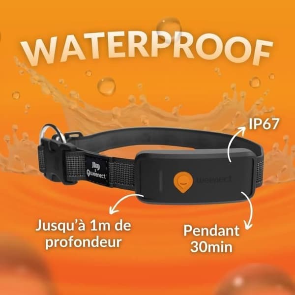 GPS hundhalsband - WEENECT Dog XT - XL antenn - Vattentät - Julius-K9 halsband - Fungerar med abonnemang - Svart