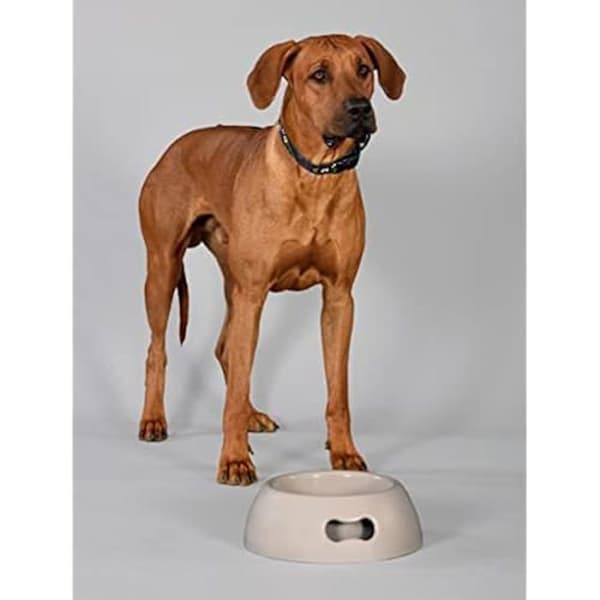 Hundskål - UNITED PETS - Pappy - Återvunnen plast - Halkfri - 2200 ML