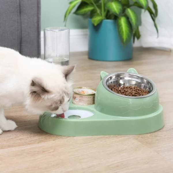 Dubbel Hundskål / Vattenskål - Hund & Katt - 500 ml