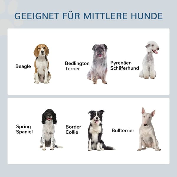 Rootz Elevated Dog Feeding Station - Pet Feeder - Dog Bowl Stand - Fremme sund spisning - 50 cm x 24 cm x 22 cm - Opbevaring og langsom feedermåtte, h
