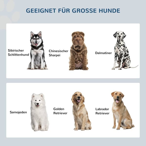 Rootz Elevated Feeding Station - Dog Feacher - Pet Food Stand - Stress -RelieVing Design - 60L X 30W X 35,5H CM - 44L Lagringsutrymme - Svart