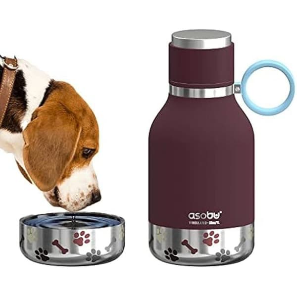 Flaska - ASOBU - Hundskål - 0.975 L - Plast - Bordeaux