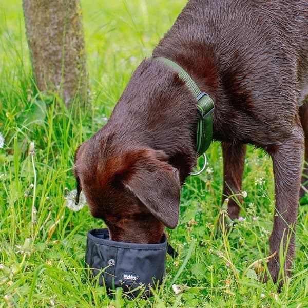 Rese matlådor för hund Nobby Pet Rio