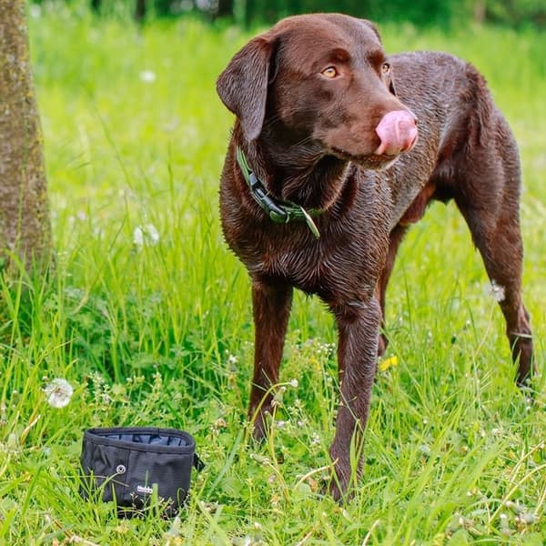 Rese matlådor för hund Nobby Pet Rio