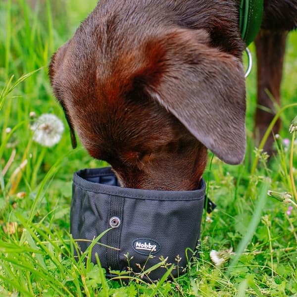 Rese matlådor för hund Nobby Pet Rio