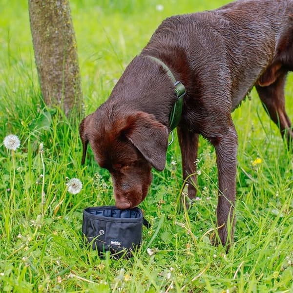 Rese matlådor för hund Nobby Pet Rio