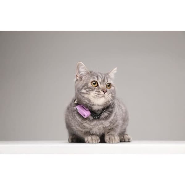 Ultraljudskattavvisande medel - TICKLESS MINI CAT - Fästing- och loppskydd - Organ Lila