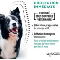 Pikkukuva 3 / 6: VETOCANIS 4 Pipetter mot loppor och fästingar - För stora hundar 20-40 kg - 2x 1 månads skydd