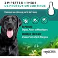 Pikkukuva 2 / 6: VETOCANIS 4 Pipetter mot loppor och fästingar - För stora hundar 20-40 kg - 2x 1 månads skydd