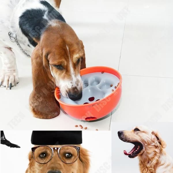 TD® Skål Hundskål Anti-Glutton Resa Långsam matning Mat Kattleksak Träningspussel Halkfria husdjur