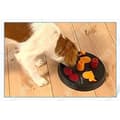 Miniatyrbild 3 av 4: TD® leksaksdispenser kibble katt hund utbildningsskål tugga oförstörbar fast godis inomhus husdjur