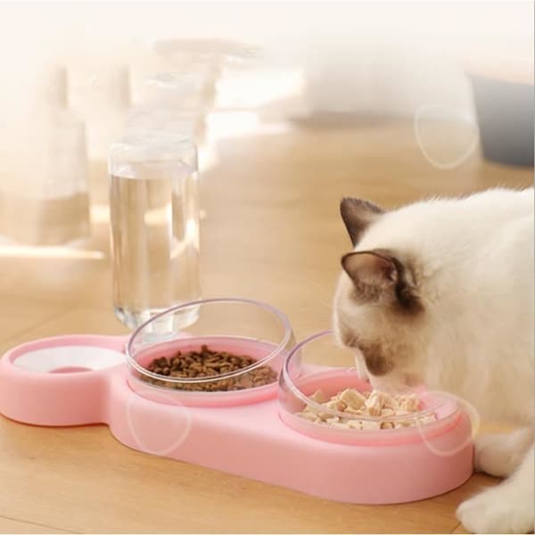 Vattendispenser och skål - CONFO - 3 i 1 - Rosa - Miljövänlig plast - Inomhus