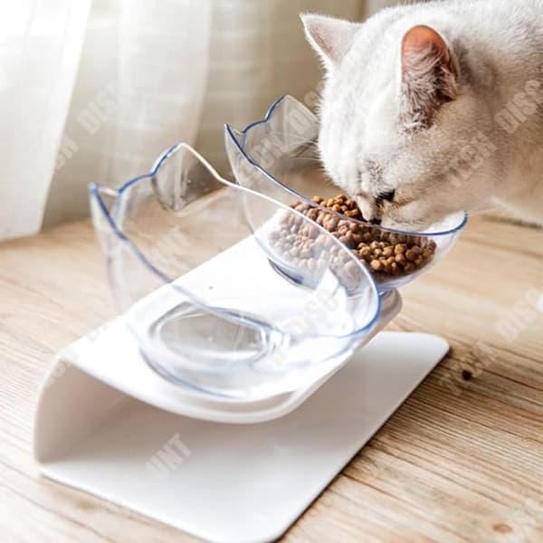 TD® Cat Bowl Oblique Mouth Dricksvatten Husdjursmatredskap Transparent skål utan bas